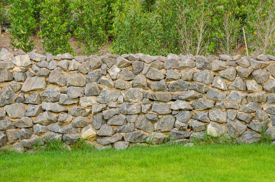 muro de piedra con vegetación